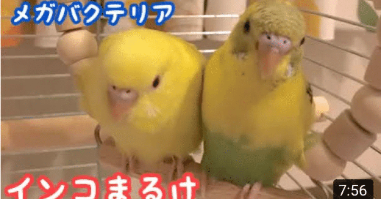 インコまるけの2020年のノート Note