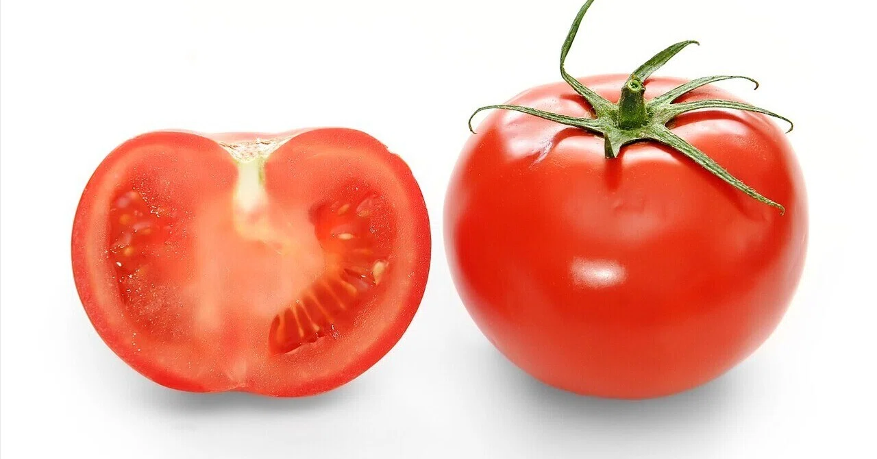 Chilled Tomato — A summer of simply chilling it whole and slicing it｜てつ