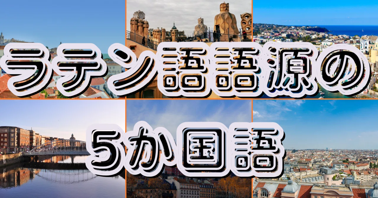 [5 Languages with Latin Roots] Part 17｜note sun