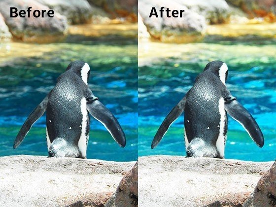 背景だけ明るくしたい！5分で出来る！Photoshopかんたん色調整 