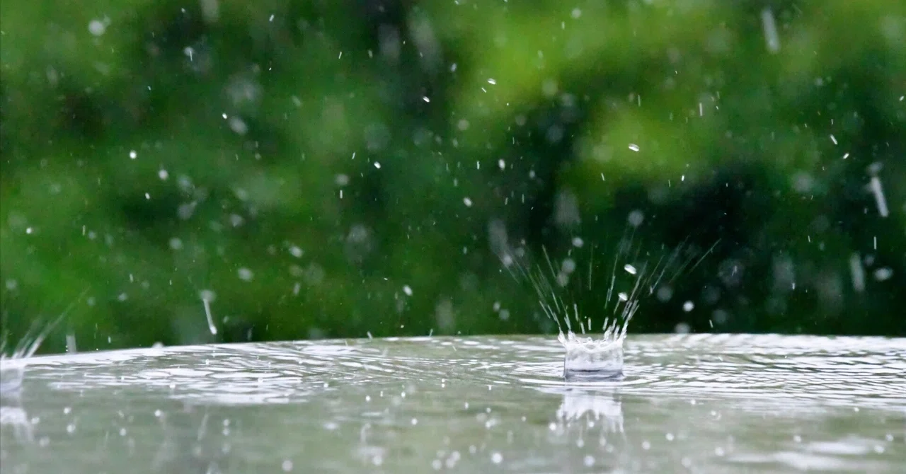 Running cancelled again today due to rain! When is the next time...｜気分屋 ...