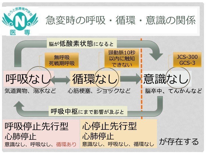 はじめての夜勤 あなたは急変に気づけるか 院内勉強会 呼吸停止先行型心肺停止 と 心停止先行型心肺停止 について のうと医療専門学校 Note