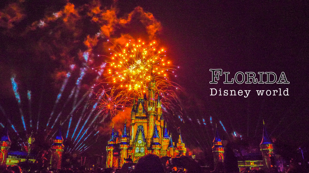 ディズニーランド超初心者がdisney Worldを雑に解説 オダベラー 旅行大学 Note ディズニーランド超初心者がdisney Worldを雑に解説 オダベラー 旅行大学 Note
