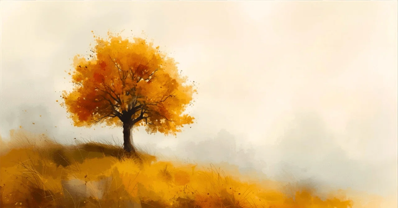In autumn, there is no spring. In summer, there is no winter.｜川嶌耕平