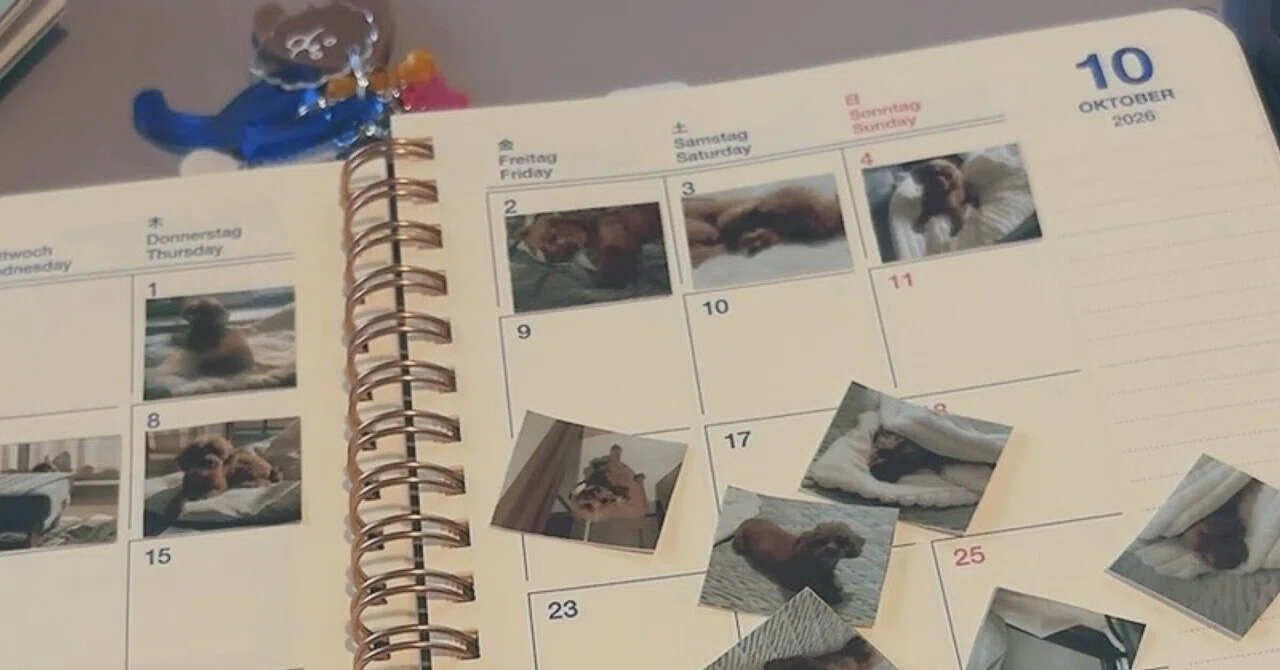 I started a photo diary for my dog with a Rollbahn Diary｜スミヨシ