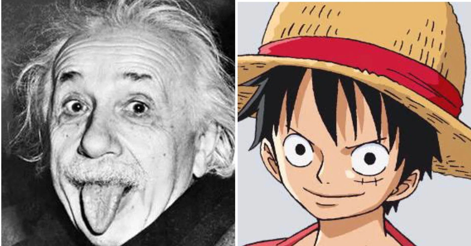 One Piece アインシュタイン 自分らしさを発揮するためには 山野 礁太 ライター One Piece学 研究家 Note