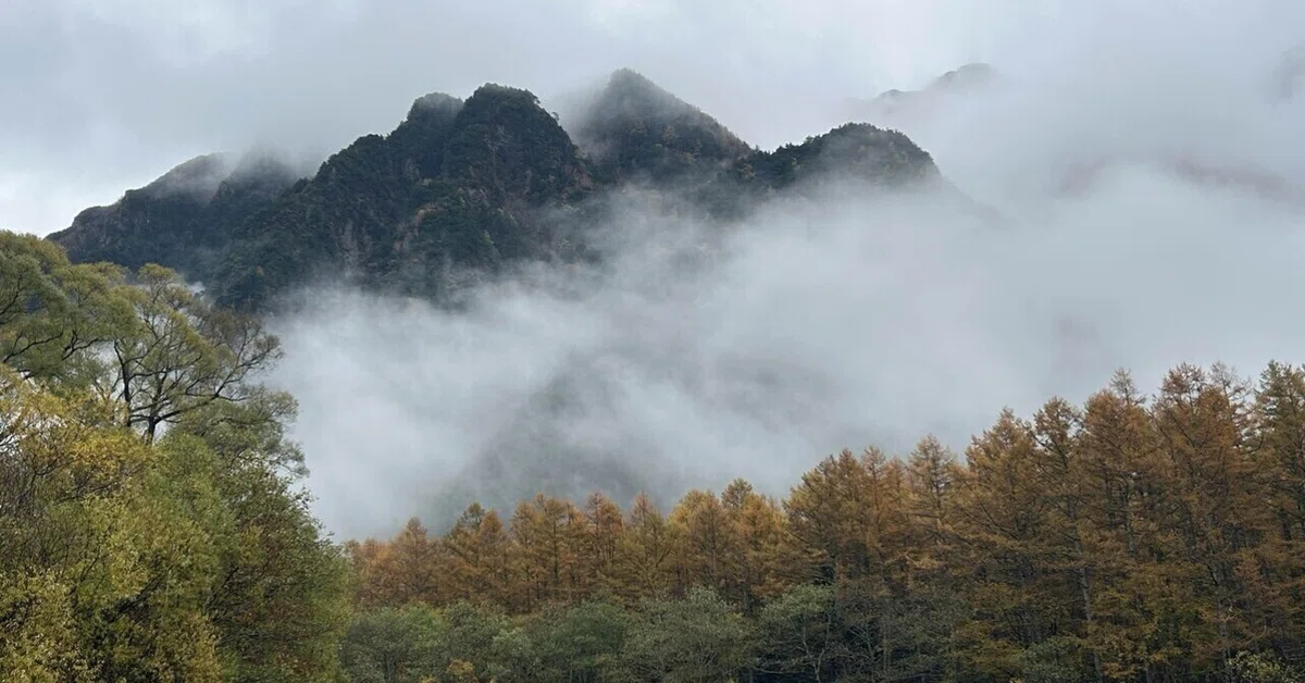 13 The Story of How I Found a 'Secret Stream' in Kamikochi｜瀬戸内みなみの「猫とおさんぽ」