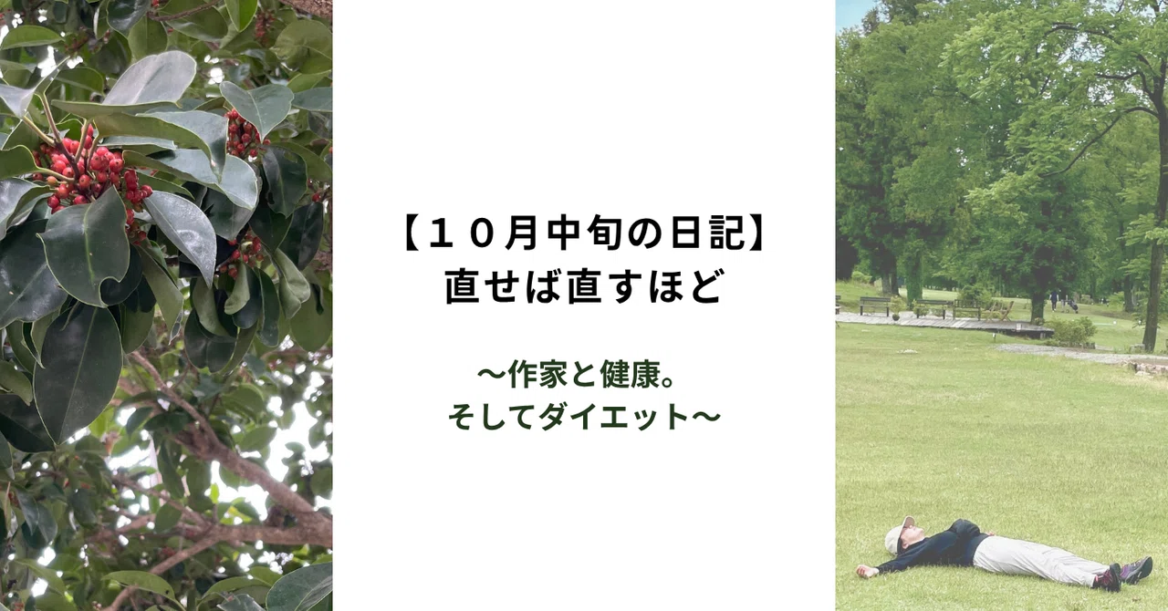 The More You Fix It [Diary from Mid-October]｜せやま南天