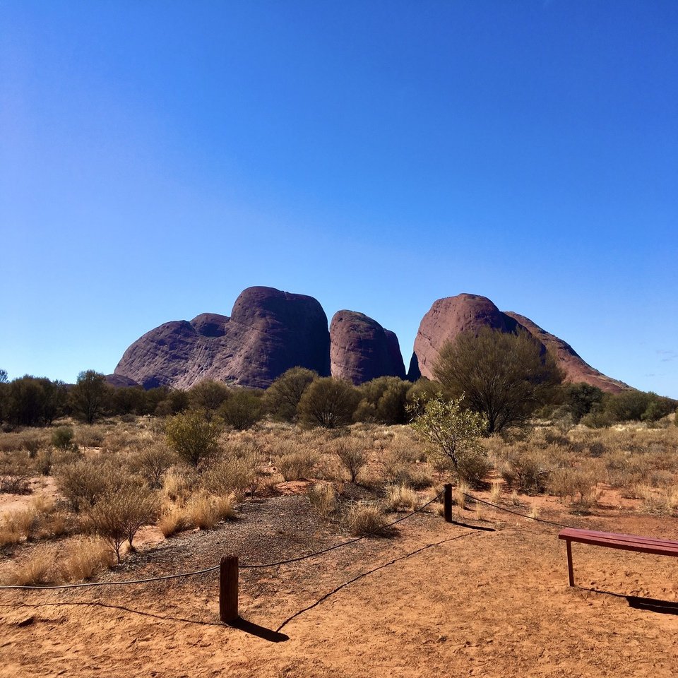世界の中心 オーストラリア キングスキャニオン が新絶景 ハイキングルート情報 添乗員さん 旅行情報局 Note