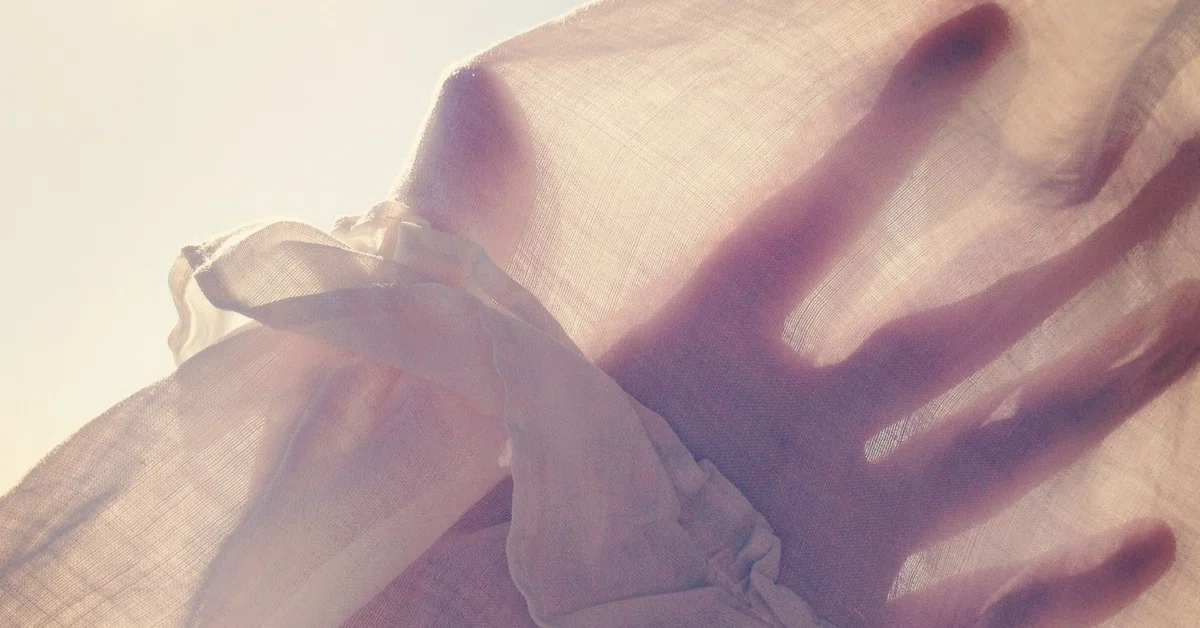 Memories of Kimono: The Flapping of White Wings｜審美眼エッセイスト