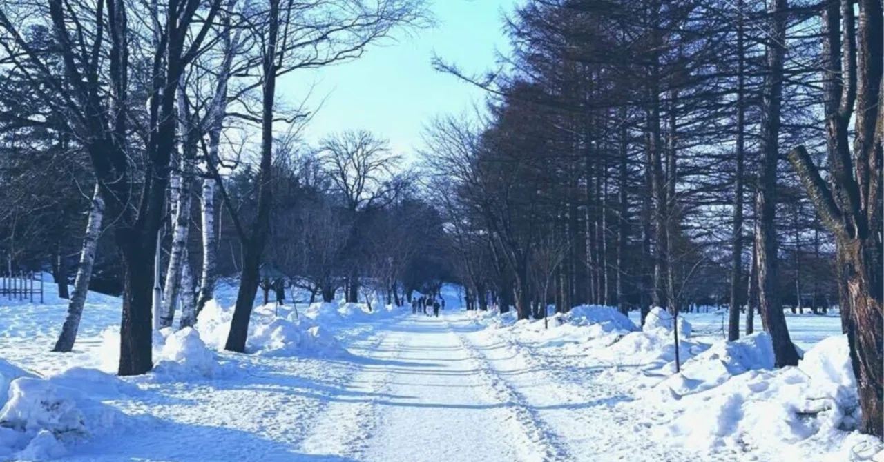 A trip you'll want to take precisely because it's winter! A unique ...