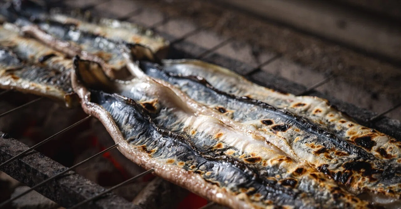 Why I Never Stop Using Charcoal in a Grill Where the Thermometer Goes ...