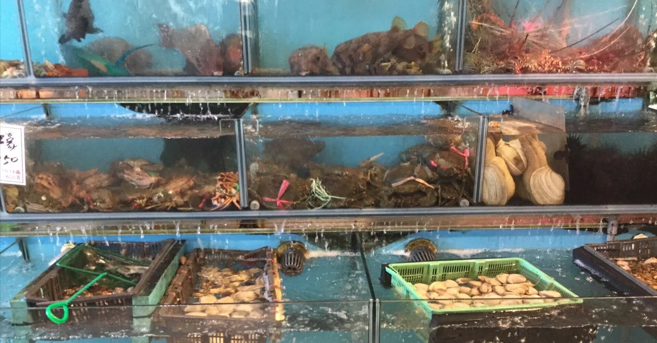 '19 GW Taiwan (Kenting) Solo Female Trip ③｜くじら