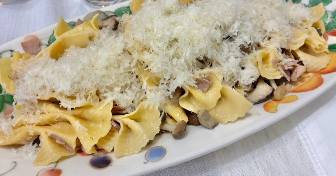 Farfalle Rigate with Assorted Mushrooms｜Chorinin