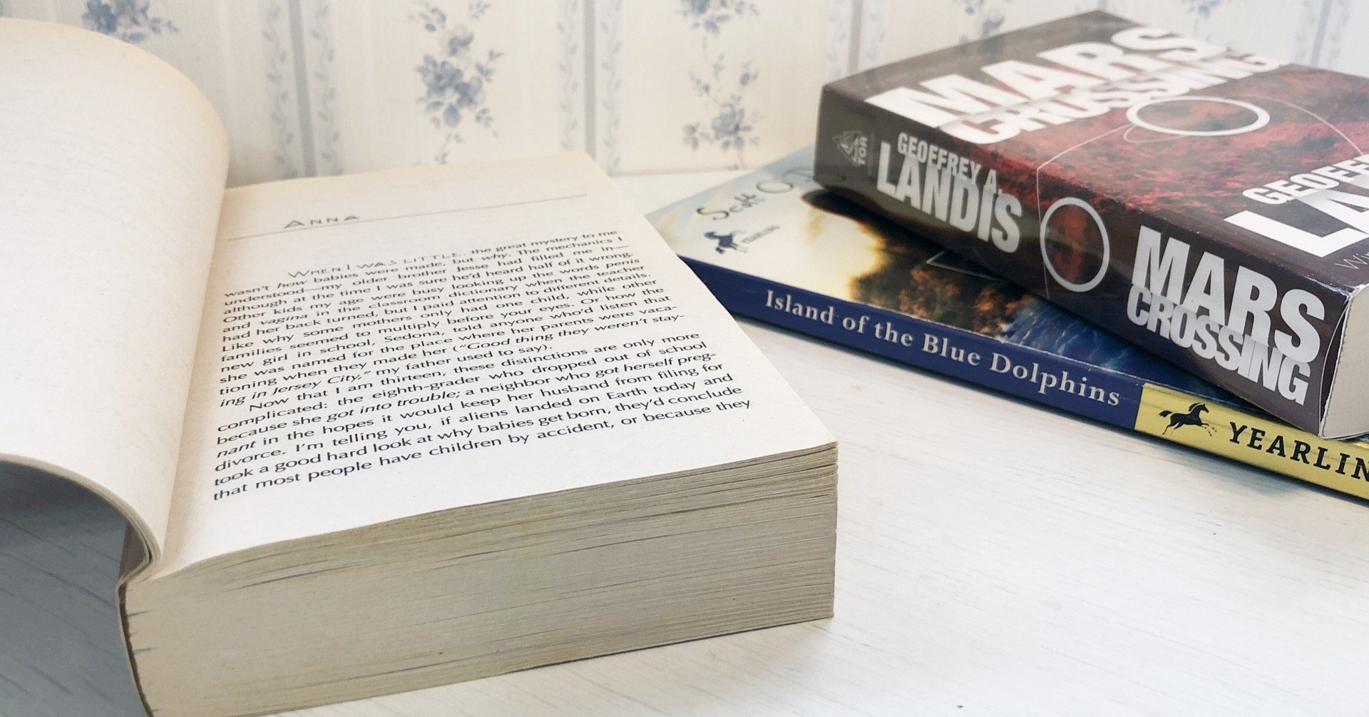 洋書　辞書　2000ページ以上 XD-SX20000 | CASIO