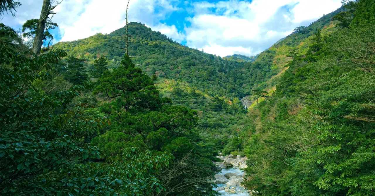The Richness of Hot Springs | A Life of Noticing What Is Already There🌿 ...