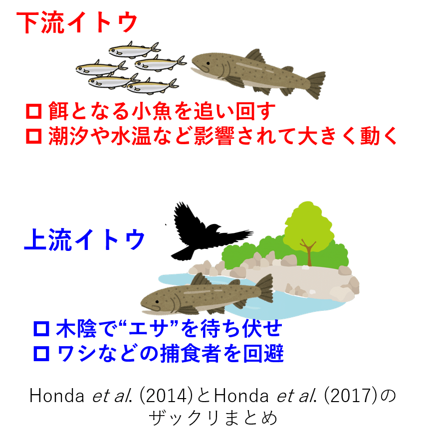 続 神出鬼没の怪魚 イトウ Nipon Hitode Note 続 神出鬼没の怪魚 イトウ Nipon Hitode Note