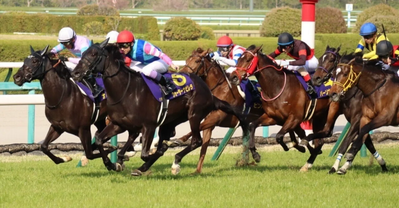 POG 2026-2027 【結果】今週の推奨馬（10/24,25）｜玉部陸＠競馬POG