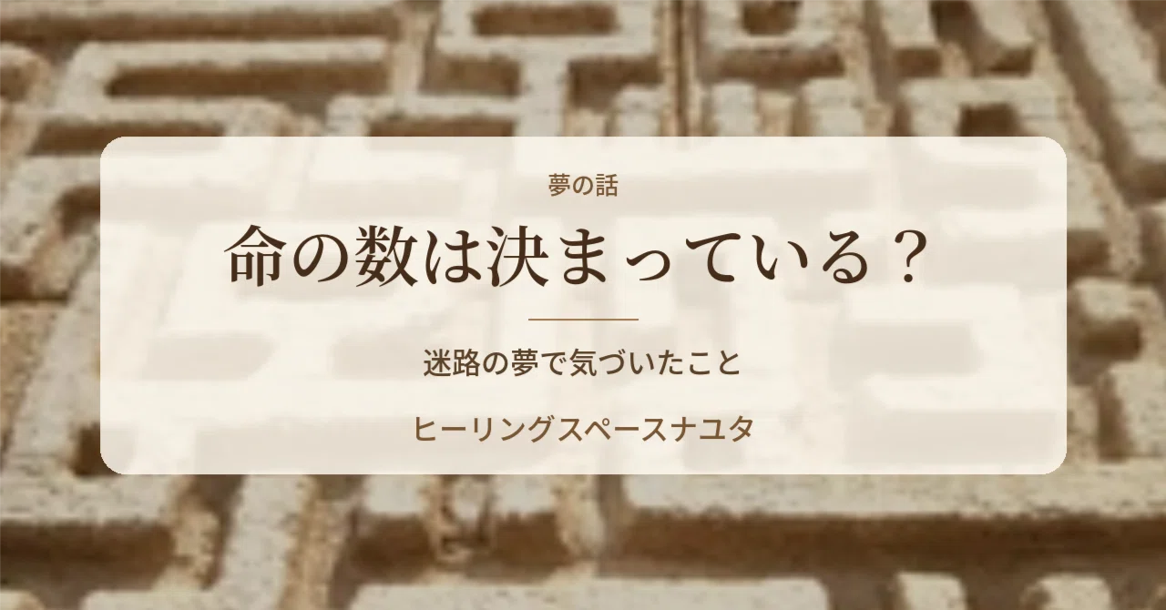 Is the number of lives fixed? What I realized in a dream about a maze ...