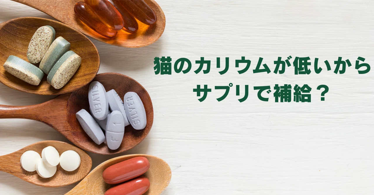 Is Supplementing Potassium Enough for Cats? Understanding ...