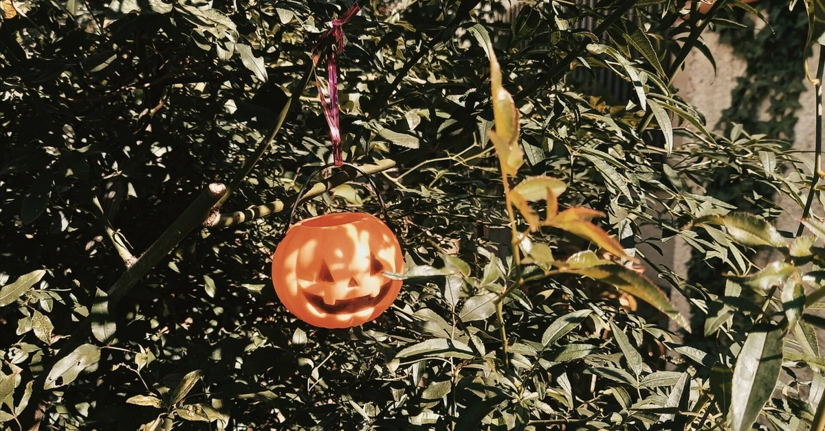 [Weekly Short-Short] Unidentified Flying Pumpkin｜ろか｜詩と小説