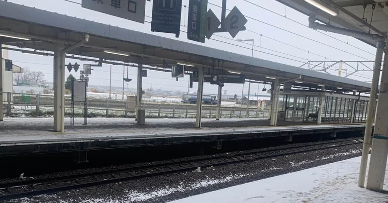 [Essay] This and That While Out and About｜富岡百恵