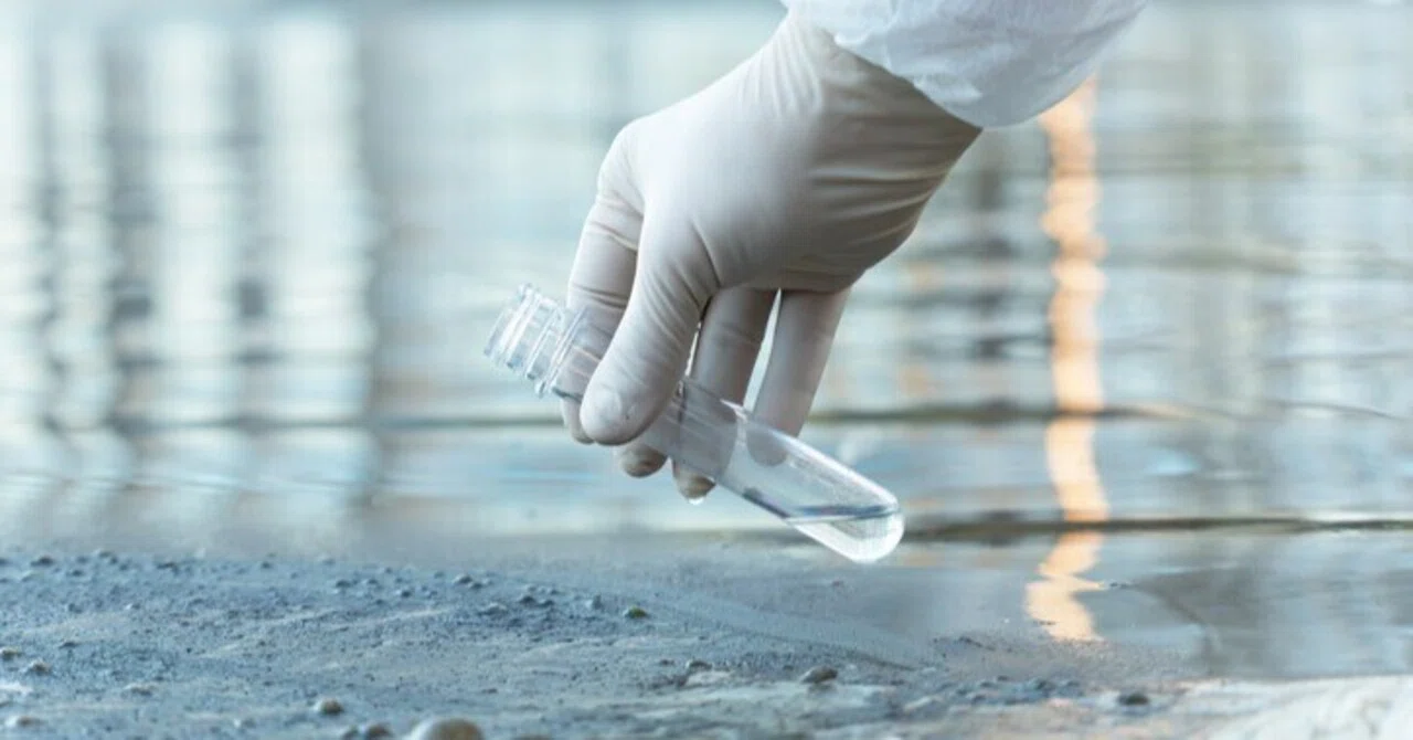 From 'Measuring' to 'Understanding' Nature: Tohoku University's 'PNI ...