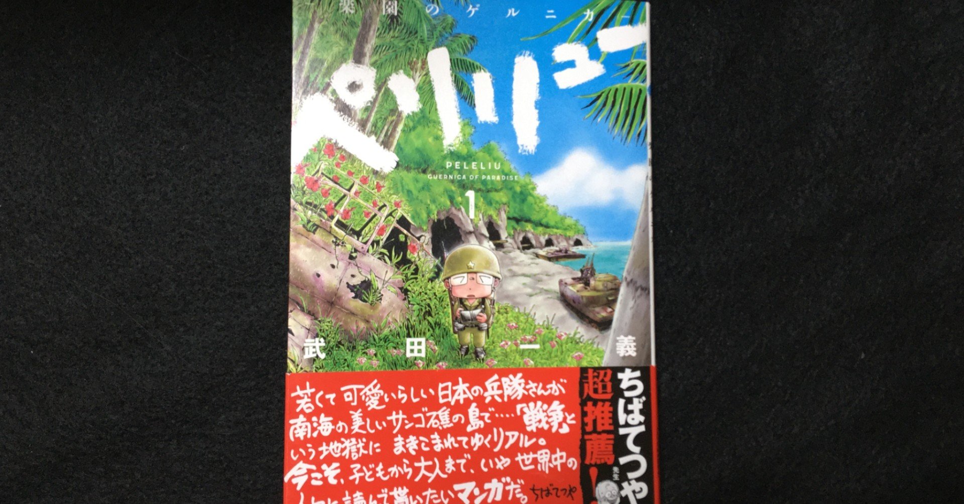 毎日読書感想文 ペリリュー 楽園のゲルニカ 08 Vol29 Hakatamax Note 毎日読書感想文 ペリリュー 楽園のゲルニカ 08 Vol29 Hakatamax Note