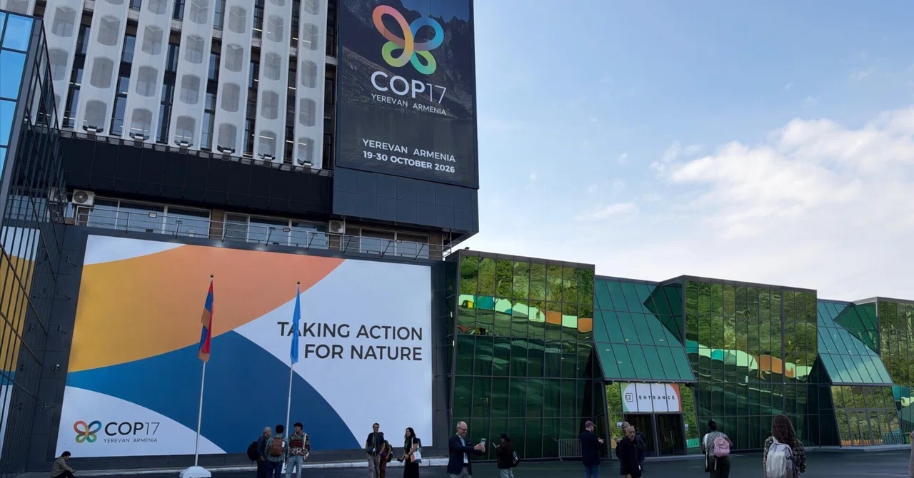《Sus-Kei》COP17 is at the halfway point: Rules for companies are being ...