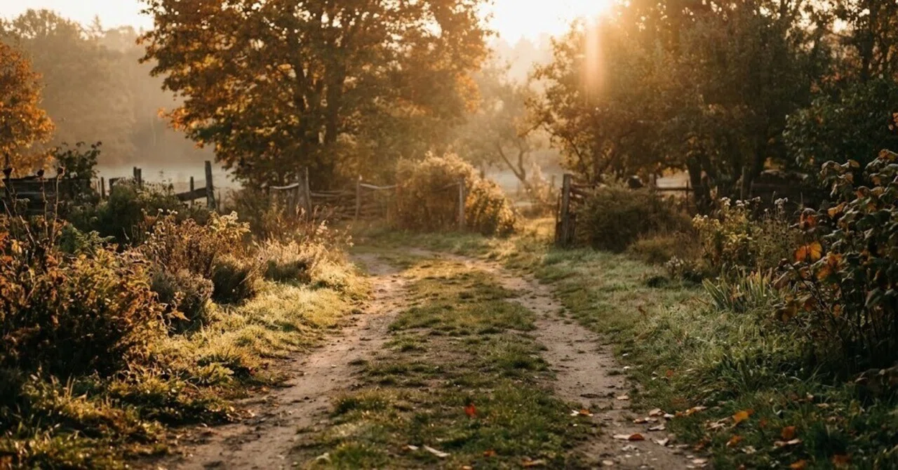 [Morning Quotes and AI Images] Small steps create the future! A morning ...