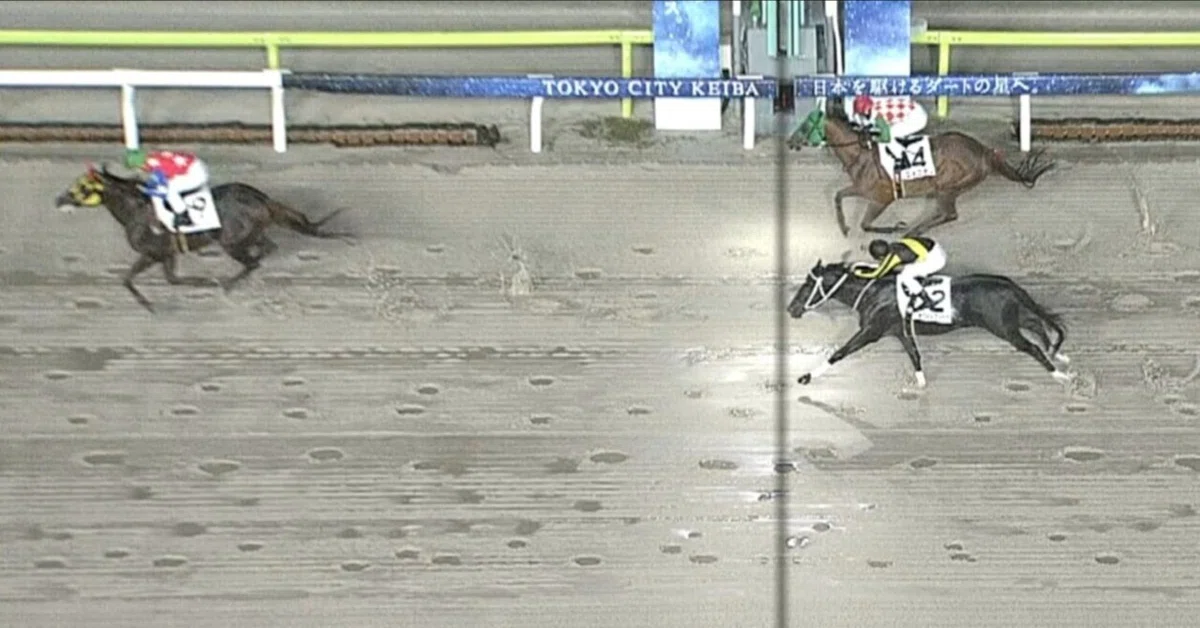[Result Report] Oi Horse Racing October 26, 2026｜みゆ