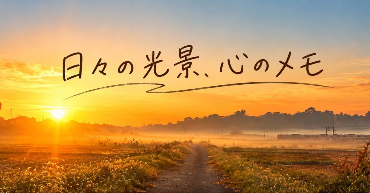 #251 The answer you are looking for is surprisingly close by｜たいき🐈 ｜日常から ...