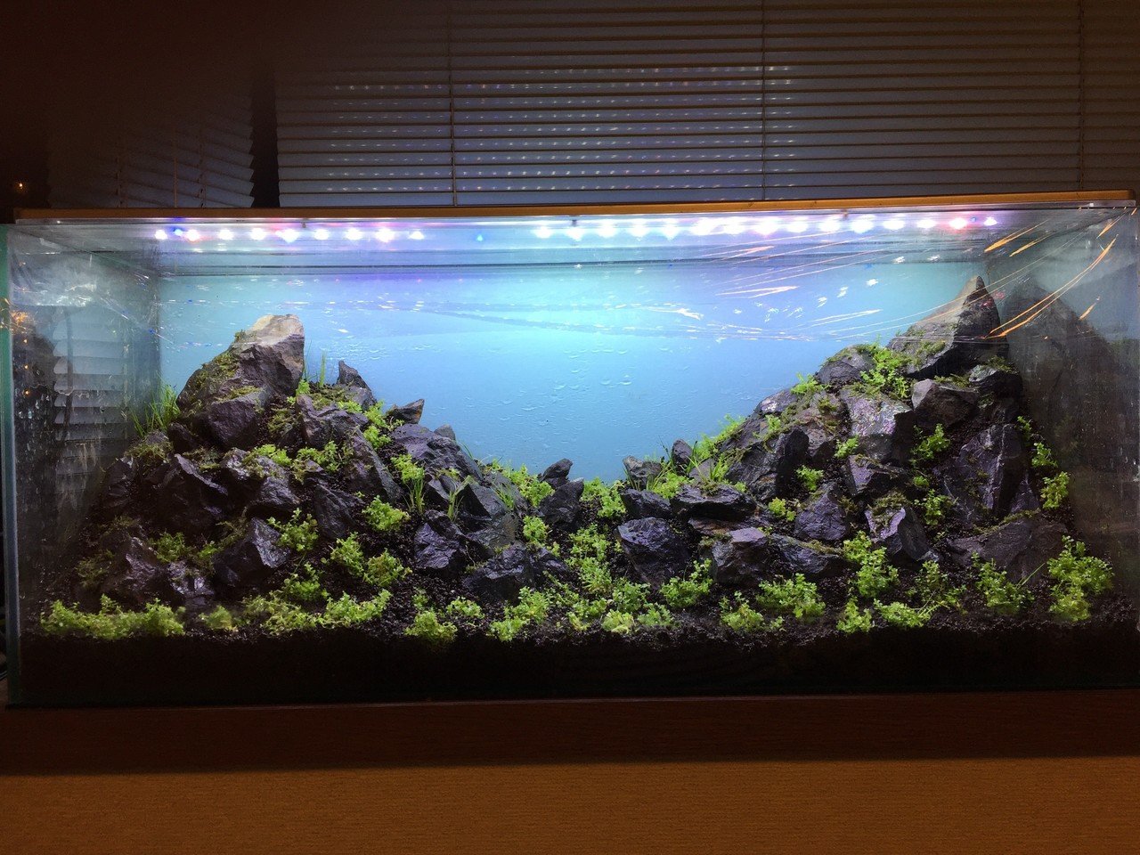 アクアリウムと僕 心斎橋てるお Note