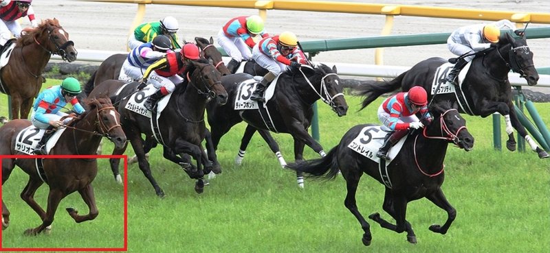 日本海ステークス 佐世保ステークス 札幌日刊スポーツ杯サイン競馬の世界 今週もjraオリジナル壁紙カレンダー 8月 の3頭のサインホースに大注目 レース終了 斎藤司 サイン競馬の世界 Note