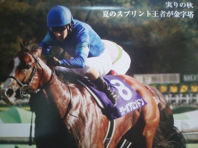 日本海ステークス 佐世保ステークス 札幌日刊スポーツ杯サイン競馬の世界 今週もjraオリジナル壁紙 カレンダー 8月 の3頭のサインホースに大注目 レース終了 斎藤司 サイン競馬の世界 Note 日本海ステークス 佐世保ステークス 札幌日刊スポーツ杯サイン競馬の世界 今週もjraオリジナル壁紙 カレンダー 8月 の3頭のサインホースに大注目 レース終了 斎藤司 サイン競馬の世界 Note