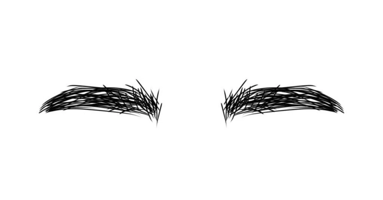 The Eyebrow Loss Incident｜sumire