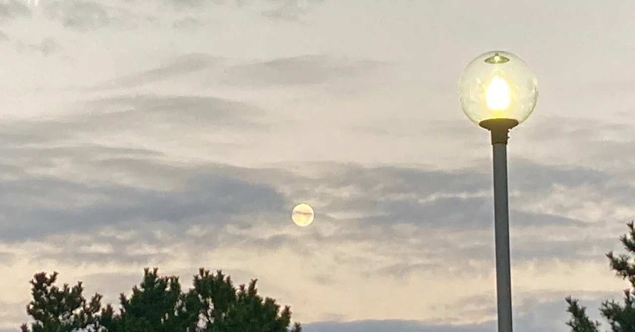 The Night Moon and Streetlights Found on a Morning Walk｜オリーブ