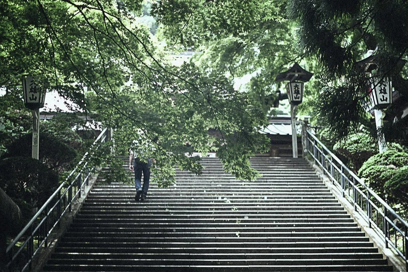 県西の古刹 山寺の魅力 天狗の寺院 大雄山最乗寺参拝 20 06 27 12 00 スナップ寅さん Note