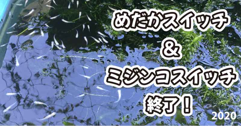 めだか ミジンコスイッチ 終了 Dvd即日コピー専門店 アイブライト 社長重蔵の修行部屋 Note
