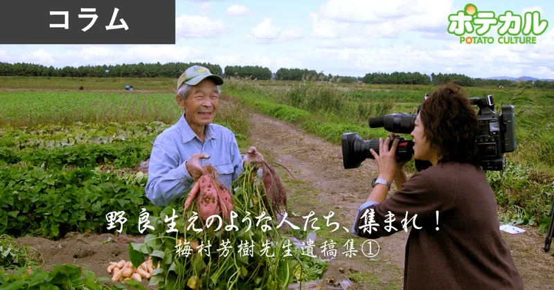 野良生えのような人たち、集まれ！　梅村芳樹先生遺稿集①栽培・貯蔵編
