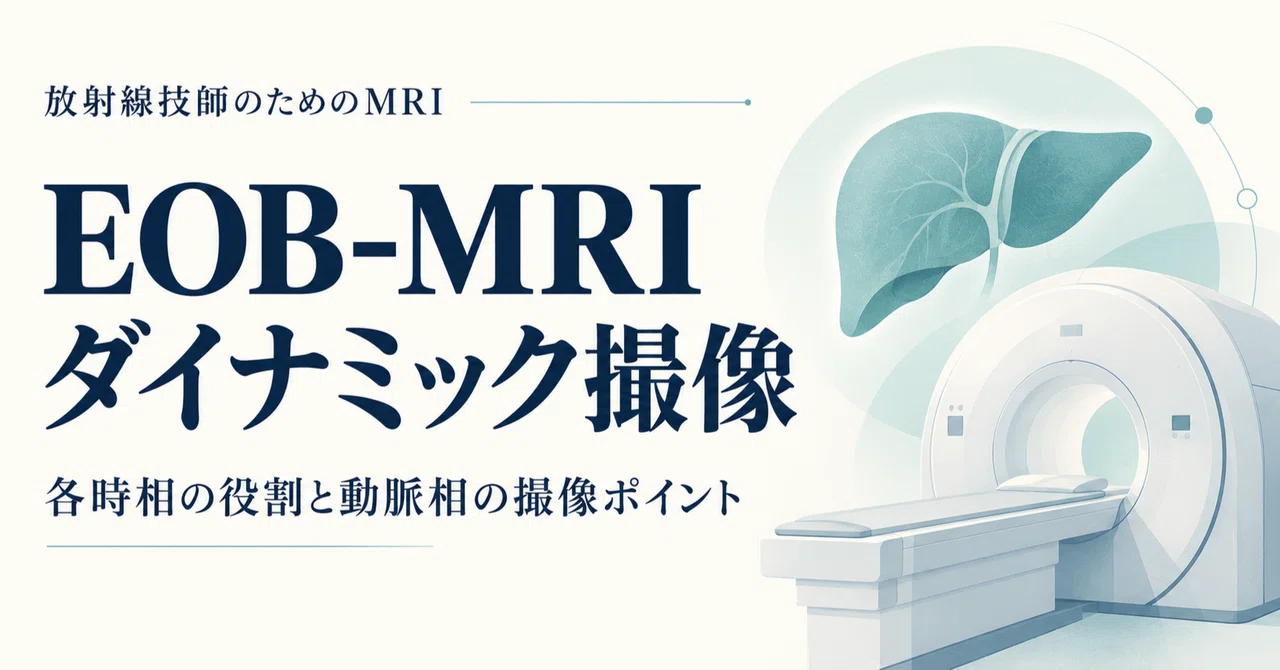 Dynamic Imaging in EOB-MRI: Roles of Each Phase and Tips for Capturing ...