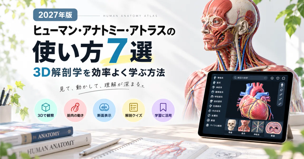 [2027 Edition] 7 Ways to Use Human Anatomy Atlas | How to Learn 3D ...
