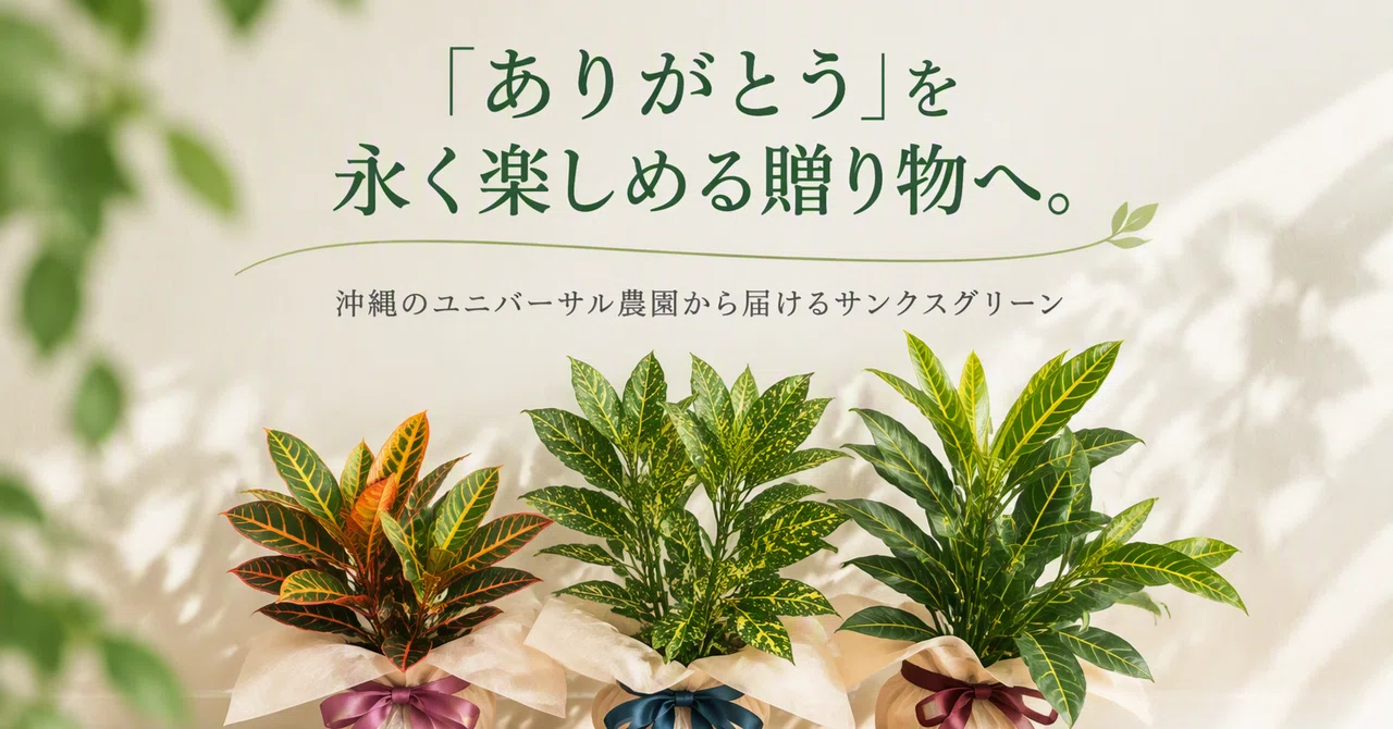 A gift that lets you enjoy 'thank you' for a long time. Thanks Green ...