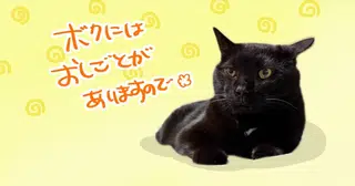 【特別なお願い】要請がありましたのでみっちり密着サービスを決行するでしっ