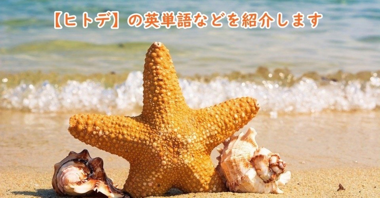 海星 の新着タグ記事一覧 Note つくる つながる とどける