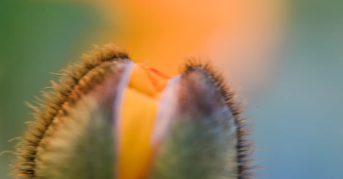 [Day 3] What is Shutter Speed? Understanding Why Photos Get Blurry｜ある技術者の記録