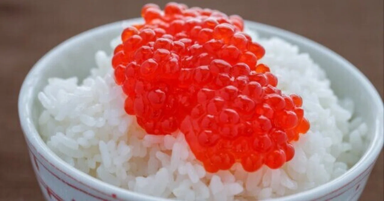 Hot rice and sujiko: Tsugaru has long eaten rice with salted fish.｜弘前 熊五郎