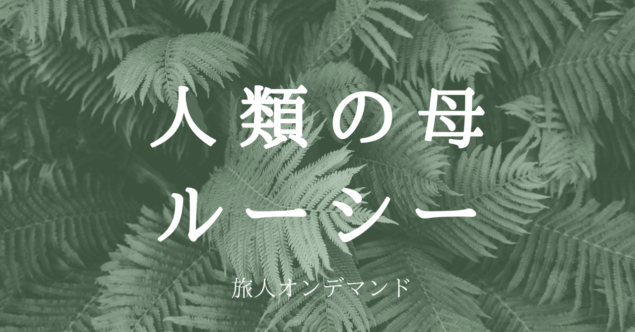 エチオピアで会える人類の母ルーシー 旅人オンデマンド Note