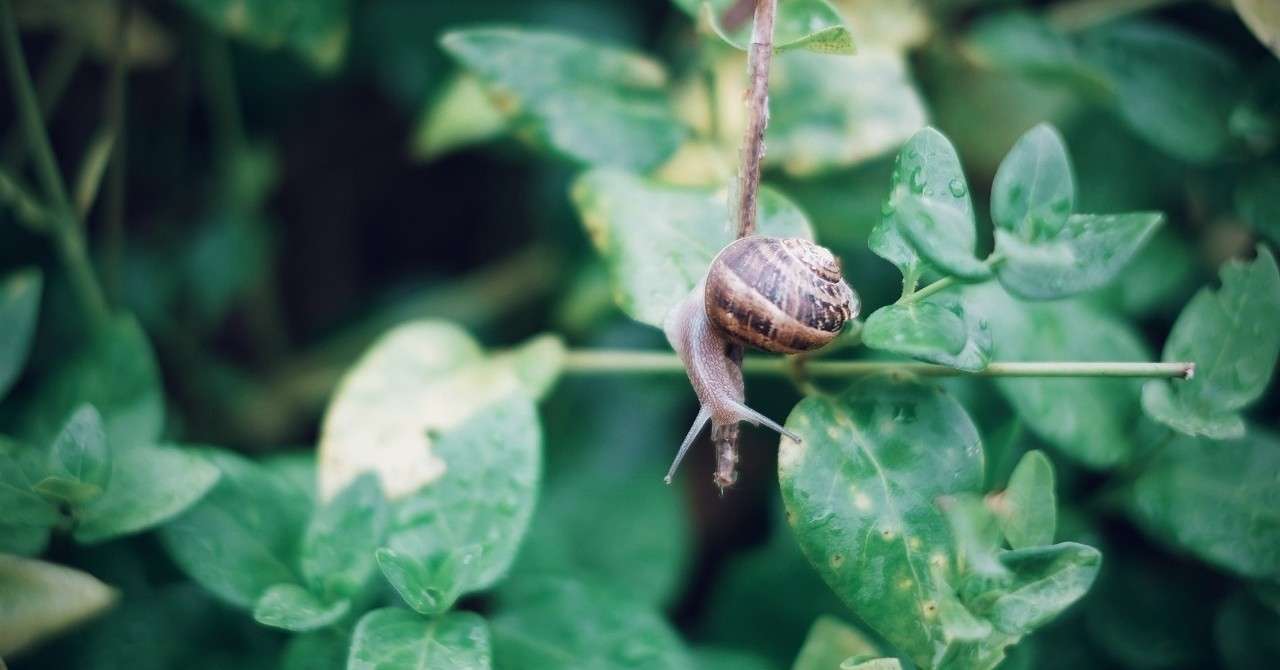 仏ブルターニュバカンス中 妊娠8ヶ月謎の高熱で緊急入院 美優 Note