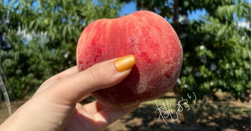 山梨 桃狩り 浅間園 1500 はすきー エンタメ新入生 Note